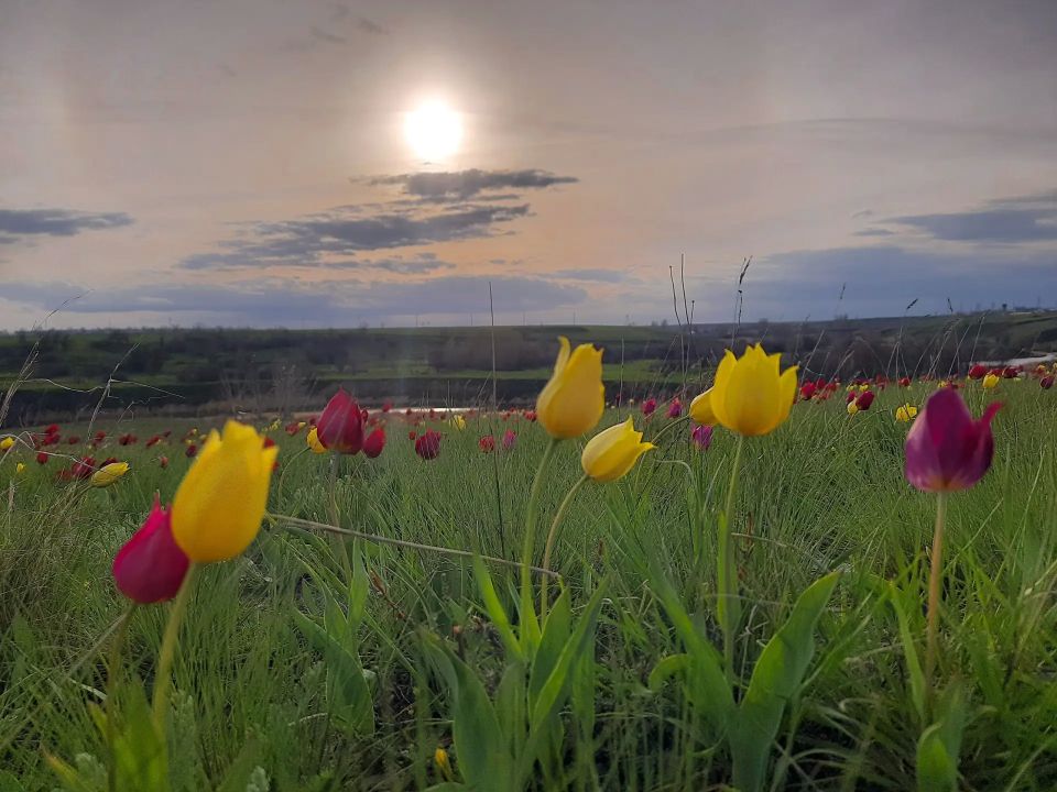 ������������ ����� �� ������ ��������� ����� ����� ����������� �������