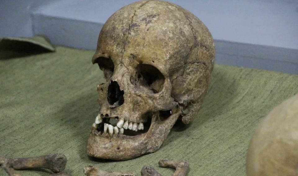 � �������� �������� ����� ������������ �����, �������� ����������� � ������������������ �������