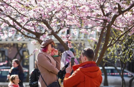 #���_�����_����. � �����-���������� �������-�� ��������� ������, ������� ����� �������� �� ������ ���������� ������