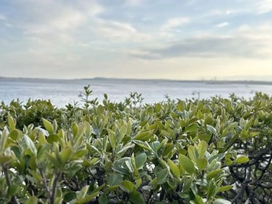 ���������� �� ��������� � ��� ���������