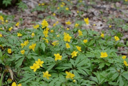 � ��������� ���� �� �������� ������ � ����� ������ �����