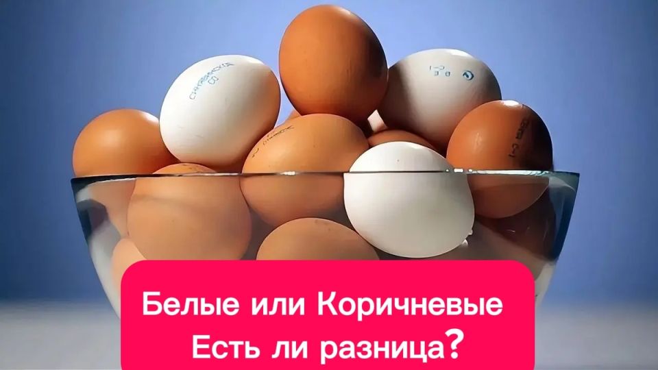 ���������� � ����� ����: ������� � ���� � �����