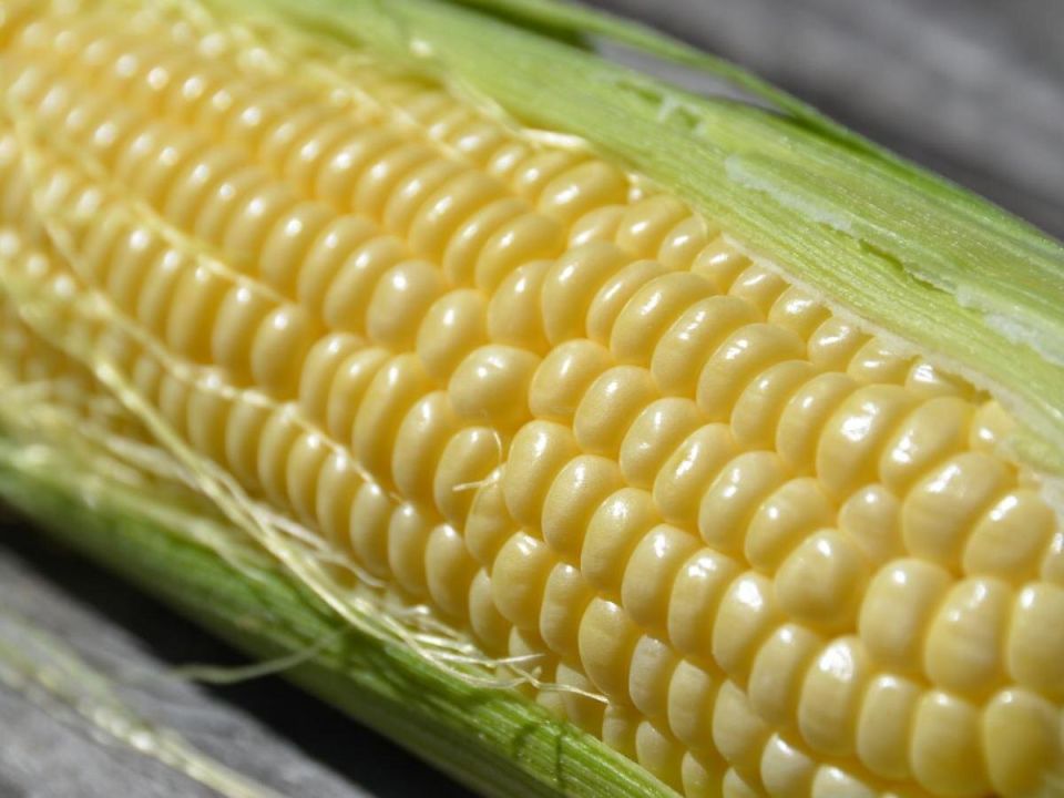 ��� ����������� � ��������� ������ ��������: ������� �������� � �� �����������