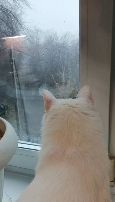 � ������� 24 ������ � ����������� ������� ��������� ������ ����