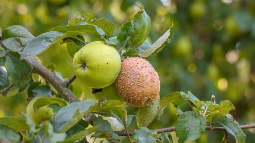 �������� �����: ������� ������ � ����������� ������ ������