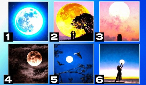 ��� ������� ������: ������ ���� ������� ���� ������ �������