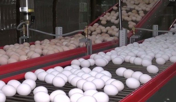 � ����������� ������� ������� ��� �������� �������������� �����������