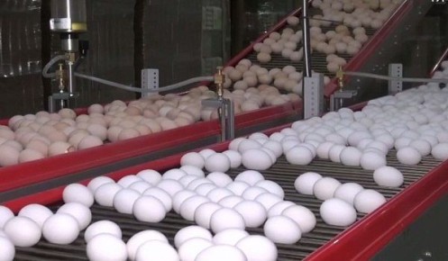 � ����������� ������� ������� ��� �������� �������������� �����������