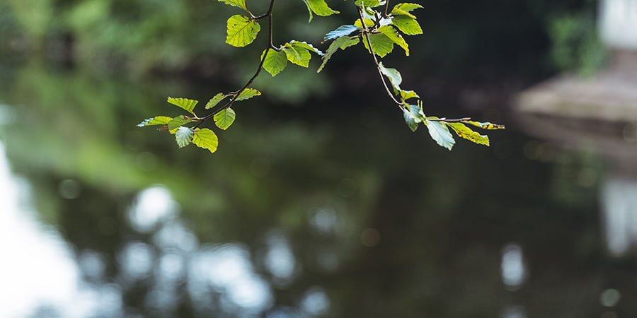 � �������� ������������ ������ ����� � ����������� �� +12