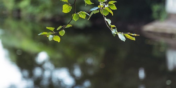 � �������� ������������ ������ ����� � ����������� �� +12