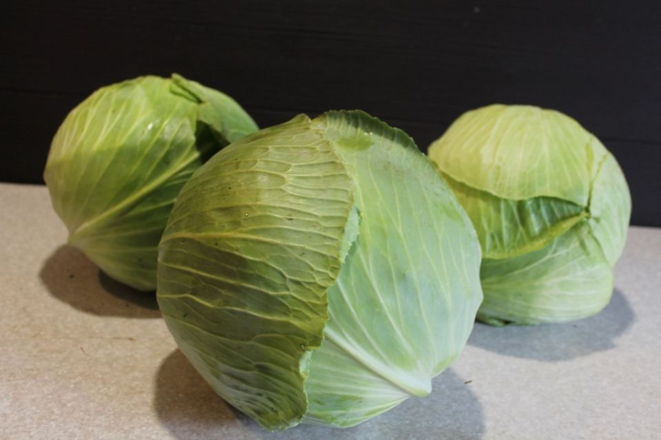 10 �������� ������ ������� ��� ��������� ����������� �������