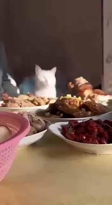 ������ ����) �� �������� ��� �������)