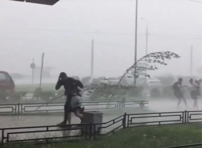 � �������� ���� ����� � �����