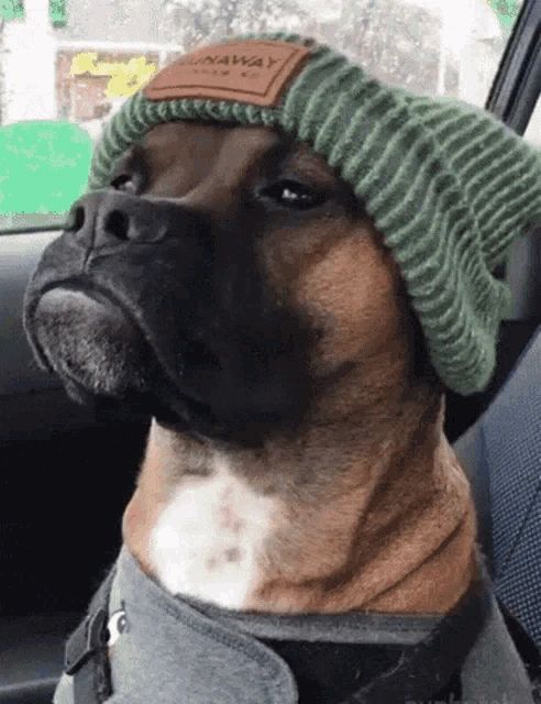 ����� � ������� �����: ����� ������ ���� ���������� � ��������