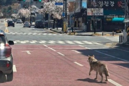 �� �������� ���� ����� � �������� ��� ����� ����� �� �������