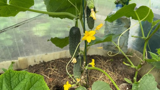 ��� ������� ������ ������: 5 ����������� ��������� ��� ��������� ������