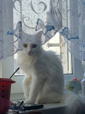 � �����������, 27 ������, � ����������� ������� ��������� ���������� �������� �����