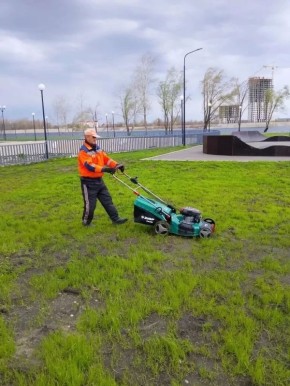 ���� ������, �������� ��������, ����� ���������