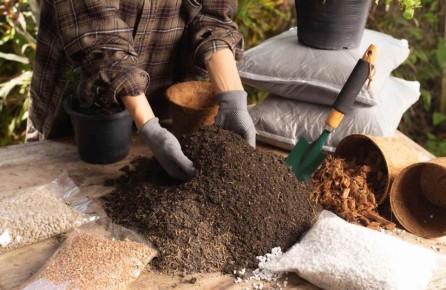 ������� ���������: ��� ��������� ������ � ������� ������� �������