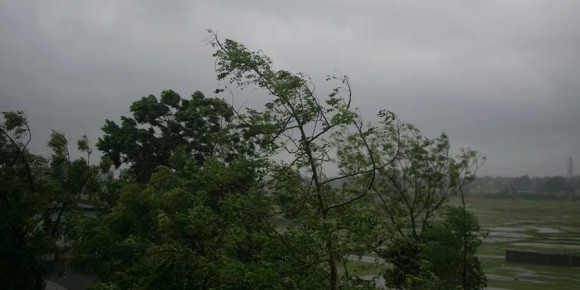 � ����������� ������� ������������ ��������� �����: ������ ��������� 26 �/�