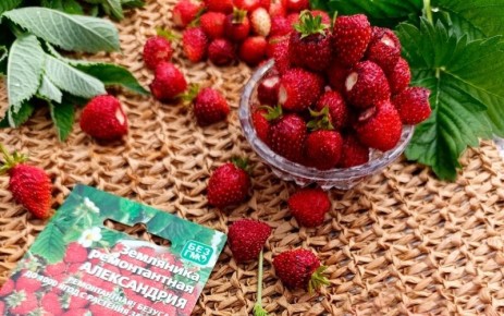 ��� ��������� ��������� �� �����: �������� ���� ������ ��� ���� �����