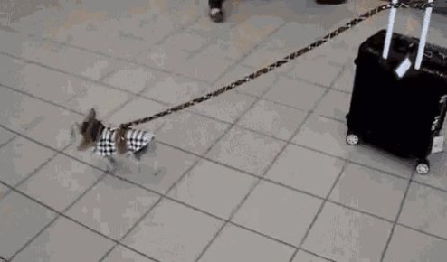 �� ������� ��������� ��������� ���������� � �����, ������ � ����