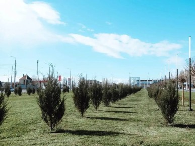 ������� � �����