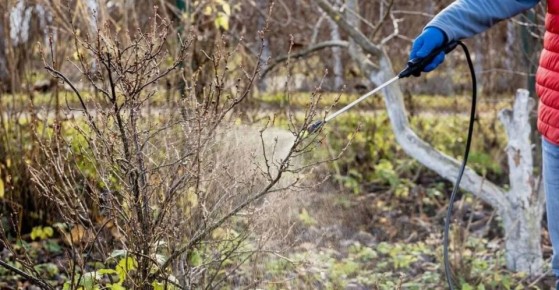 ��� ��������� ������������ ������� ����� ��� ���� � ������