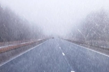 �� ������ �������������� 29.04.2026 �� ���������� ����������� ������� �������� ������, � ������������