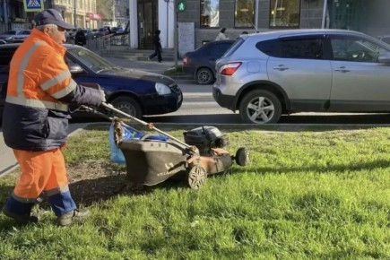 ������������ ������ �� ���������������