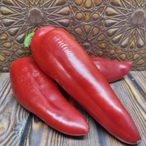 ����� ���������� �����: ��������� ����� ��� ������ � ��������� ������