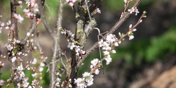 ���� � �������� ������� � ���������� ����������� � ������������ �� ���� +13