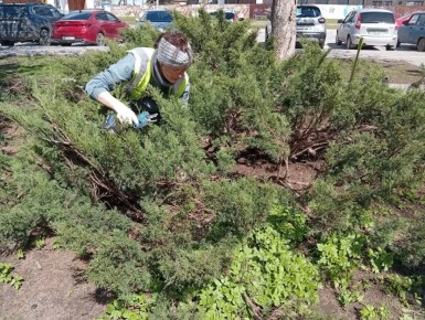 ������������ ������ �� ��������������� ������������ ����������