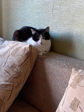 1 ��� � ����������� ������� ����� ���������