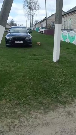 � ������� ���������� �����!