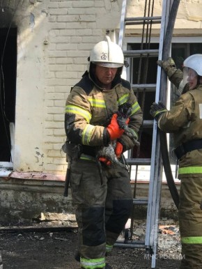 ������� ���� �������� ������ ������