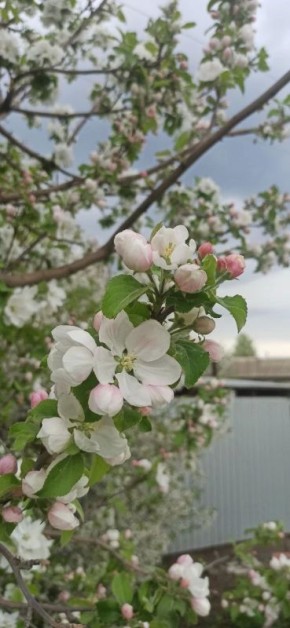 ������� ������ �� 3 ��� 2026 ����
