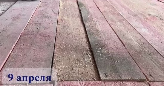 "����� ����� �������": ������ ���������������� ��� ������� �� � ��������