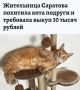 ����������� �������� �������� ���� ������� � ��������� ����� 30 ��� ������: ���� ������ ����� � ���������
