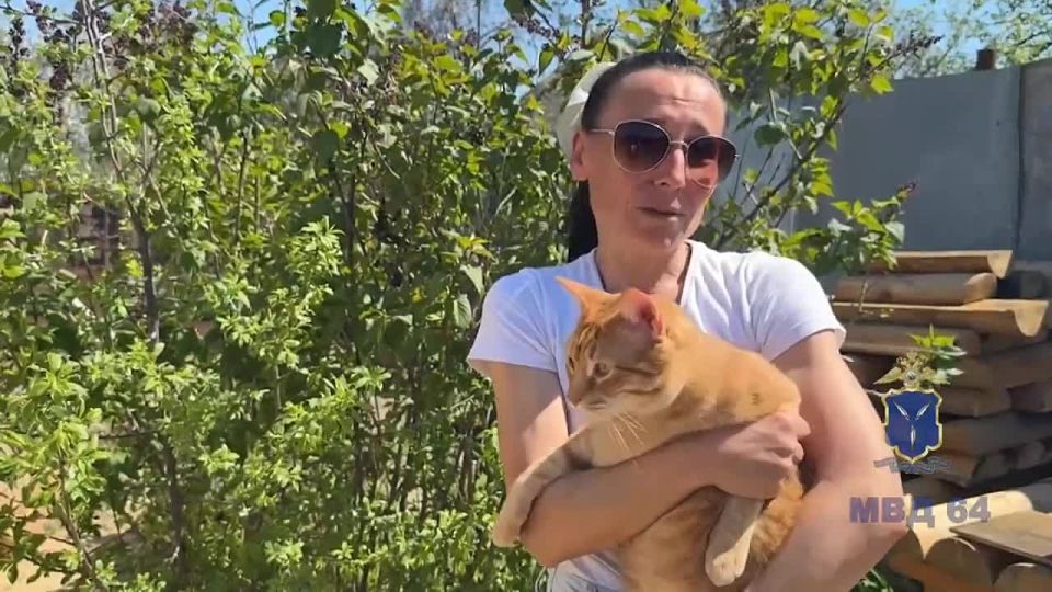 Барон вернулся домой: полицейские помогли жительнице Саратова вернуть кота, которого похитила ее знакомая, требуя выкуп