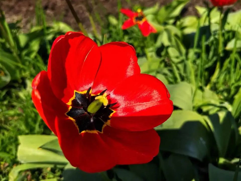 ������� � �����