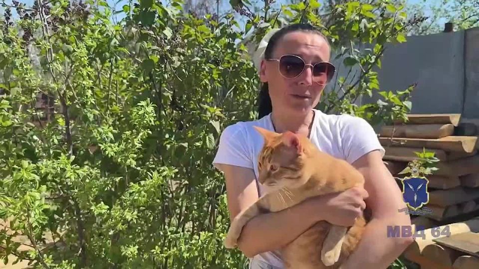 Саратовские полицейские вернули похищенного кота Барона законной владелице
