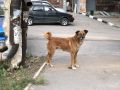 ����� �������� ������� ��������� 50 ����� ������ �� ��������� ����� �� �������