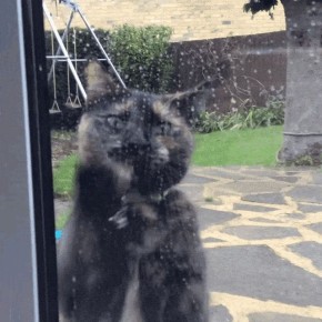 � ����������� �������� � ����������� ������� ����� ����� � ��������