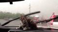 На этой неделе саратовцев ждут дожди и жара