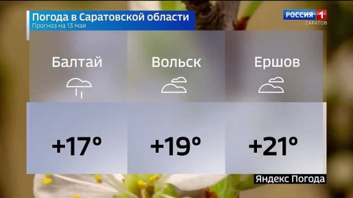 ������� ������ �� 13 ���