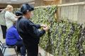 Волонтёры из ЗАТО Светлый отправили маскировочные сети нашим военнослужащим
