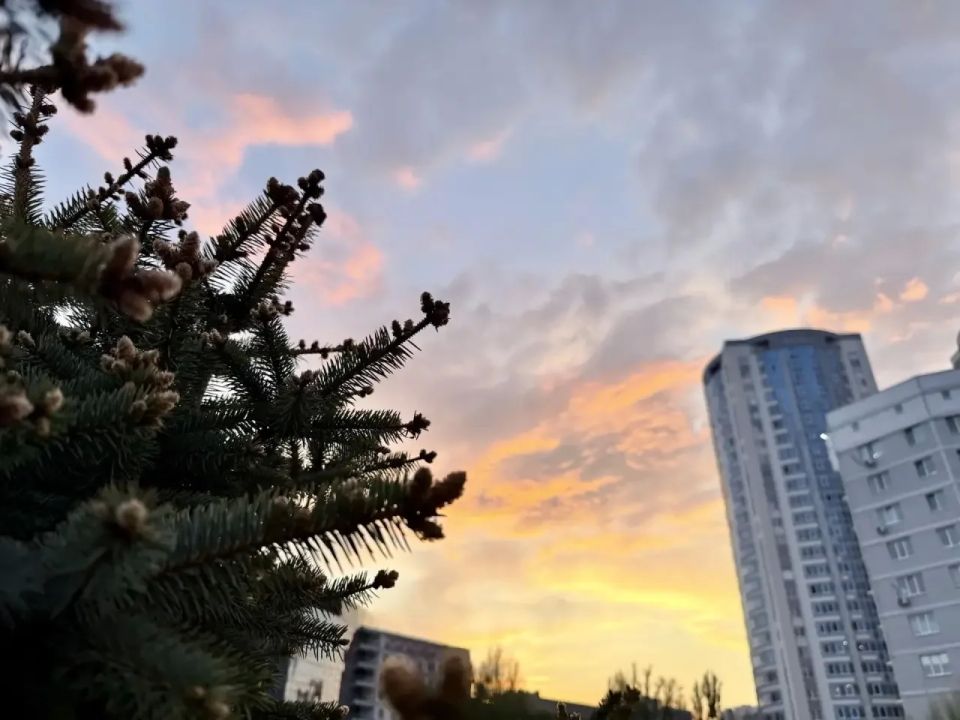 Саратов в кадре Саратов в кадре