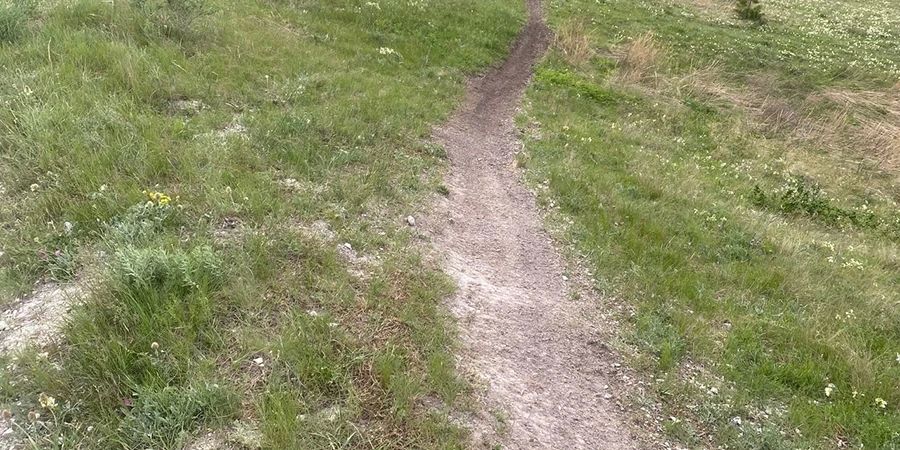 В Хвалынском национальном парке мотоциклисты разрушают памятники природы