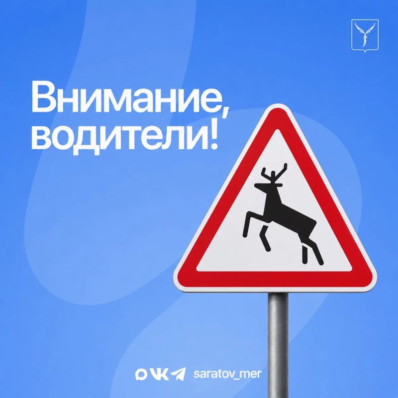 Будьте внимательны за рулем